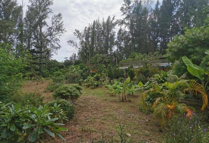 Bungalow Standard Vista Jardim, Neverland Beach Village Bungalows