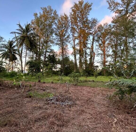 带花园景观的标准洋房, Neverland Beach Village Bungalows