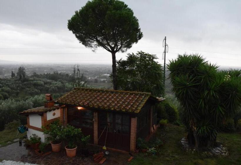 Номер Стандарт, Da Poldino