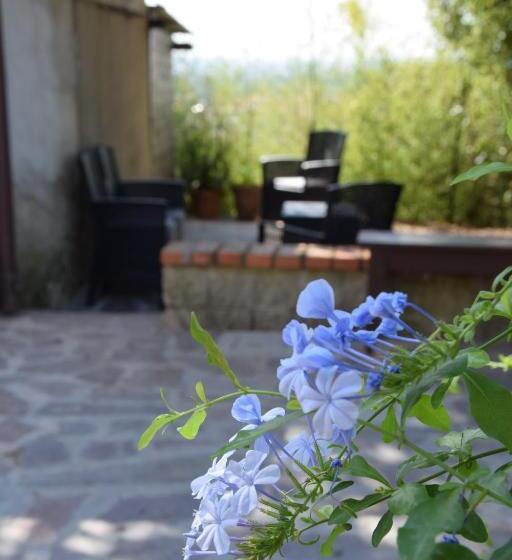 Номер Стандарт, Da Poldino