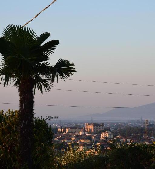 Номер Стандарт, Da Poldino