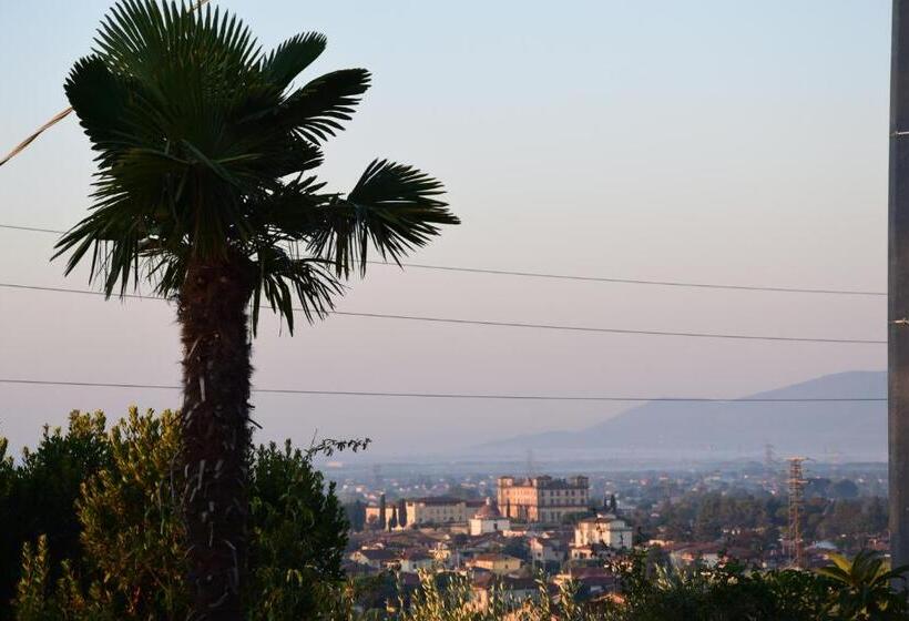 Номер Стандарт, Da Poldino