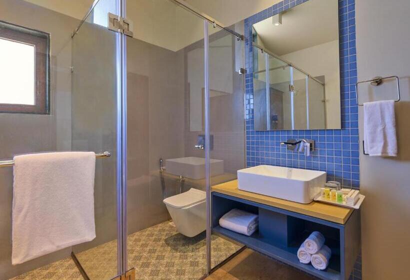 Номер Стандарт, Pride Resort Ambaji