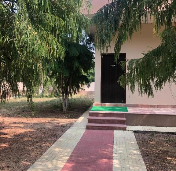 Номер Стандарт, Matoshree Green Stay Sariska