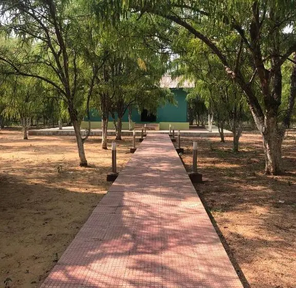 Deluxe-huone, Matoshree Green Stay Sariska