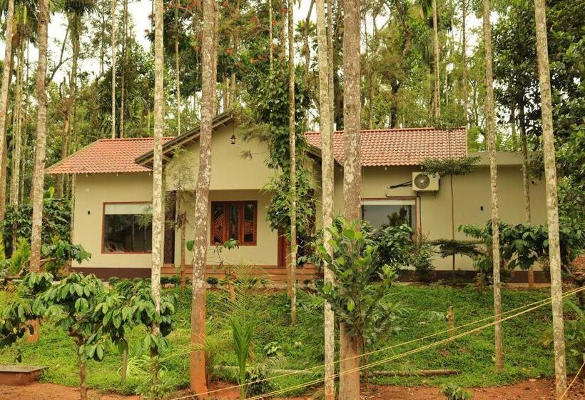 וילה בת 2 חדרי שינה, Paddy View Resort