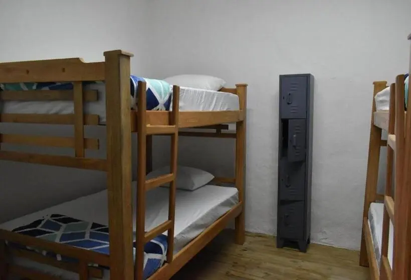 اتاق چهار تخته با دستشویی مشترک, Origen Hostel Jardín