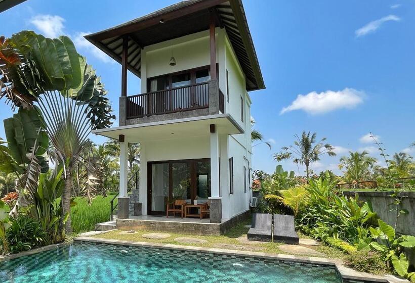 Номер Стандарт с Гидромассажем, Serendipity   Villa Kemuning