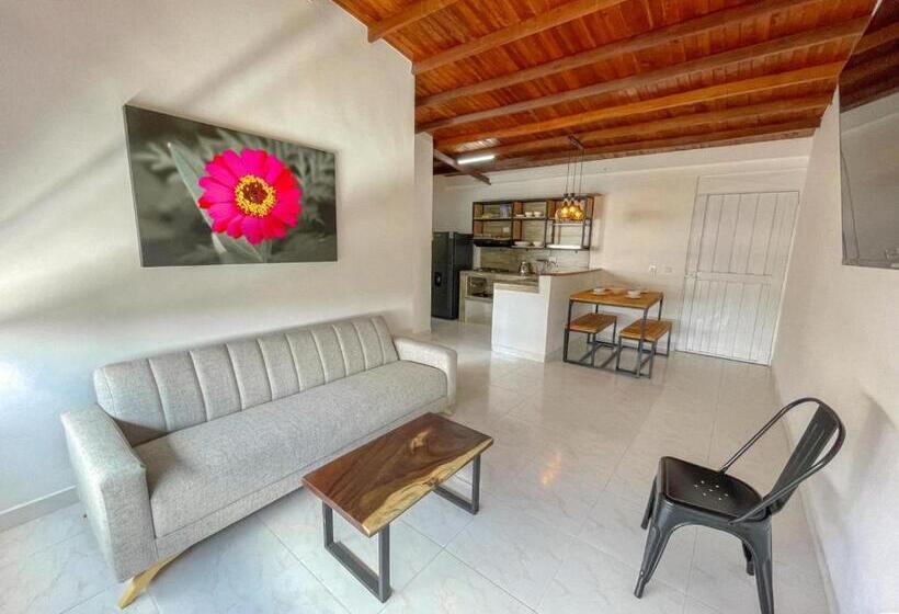 آپارتمان 1 خوابه, Apartahotel Rosedal