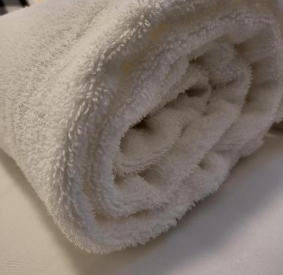 デラックスルーム, New Luxury Home