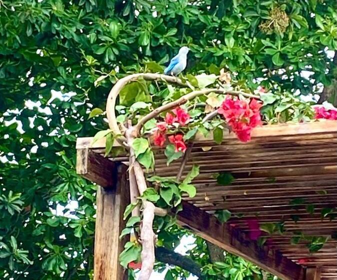 اتاق پریمیوم چهارنفره, Akuaippa Hostal Restaurant