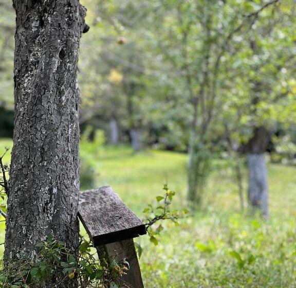 خانه 1 خوابه, Casa Armonia