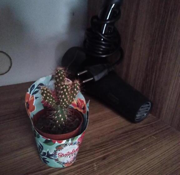 １ベッドルームハウス, Casa Do Surfista