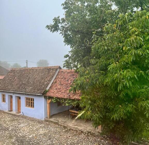 Дом 4 Спальни, Haus Rether   Transylvanian Guesthouse