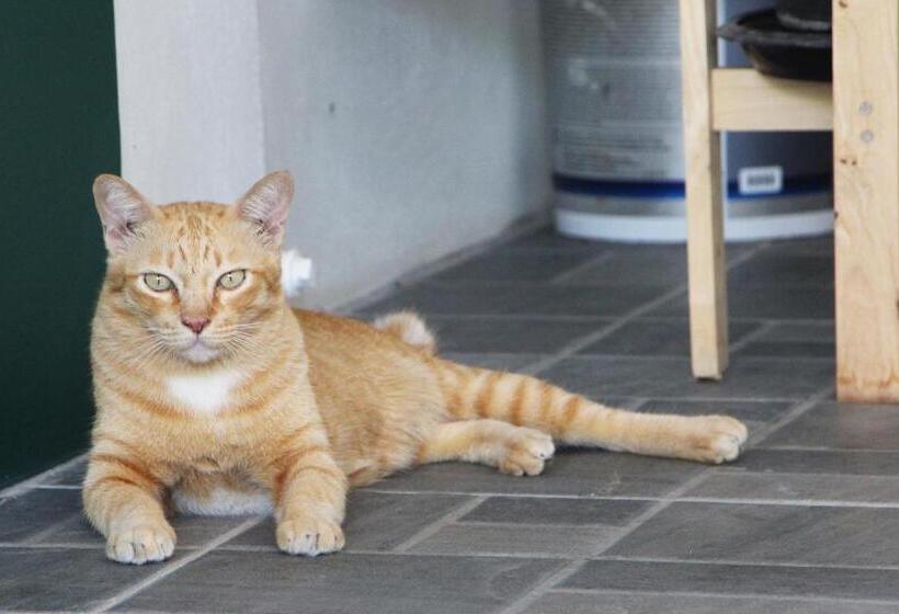 חדר סטנדרט, Room In Guest Room   Baan Khunphiphit Homestay No2229