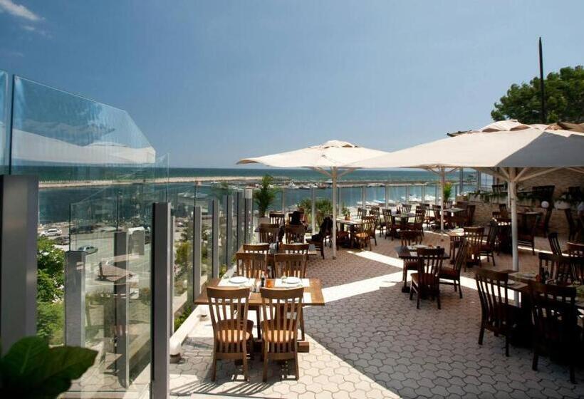 חדר סטודיו סטנדרד, Studio Bel Air Paradise