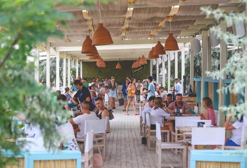 استودیوی استاندارد, Studio Bel Air Paradise