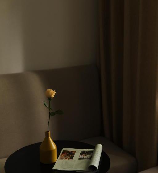 Standart Oda, City Park