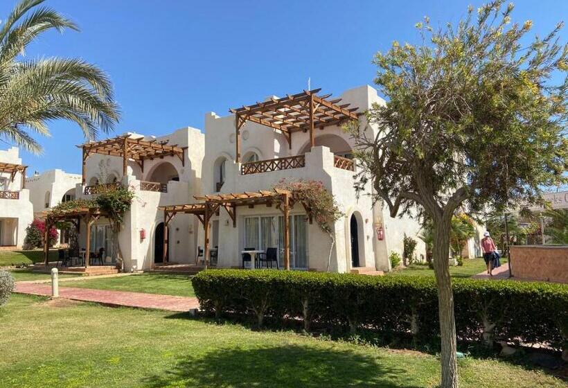 کلبه ییلاقی, Studio