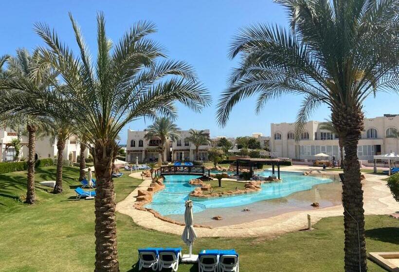 کلبه ییلاقی, Studio