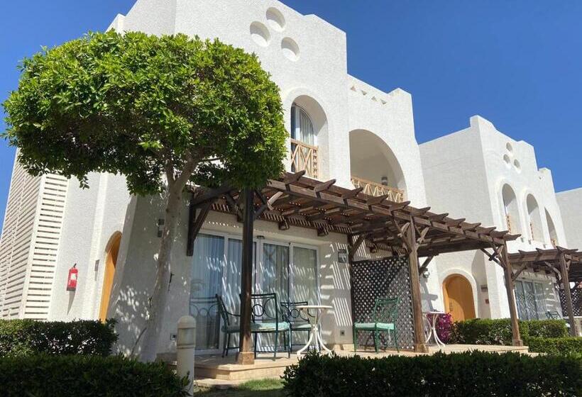 کلبه ییلاقی, Studio