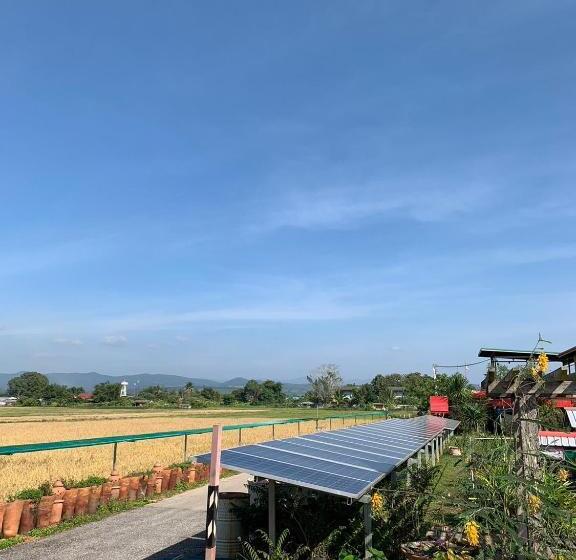 豪华家庭房间, Warp To Nature