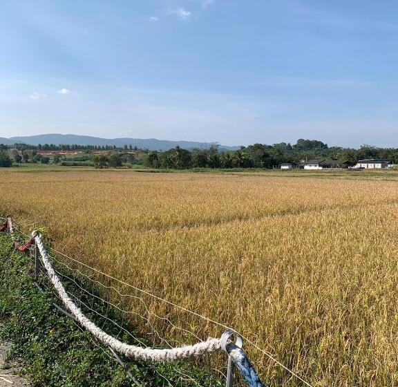 Трехместный Номер Deluxe, Warp To Nature