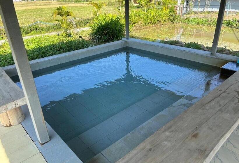 带大床的标准间, Warp To Nature