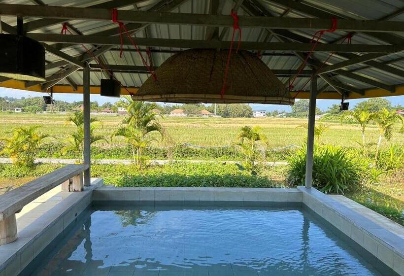 Стандартный Номер Кровать Кинг, Warp To Nature