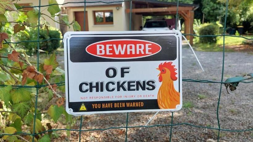 スタンダード4人部屋, Studio Duplex à Savenay