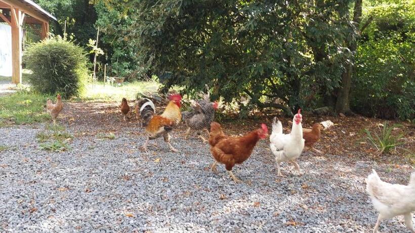 スタンダード4人部屋, Studio Duplex à Savenay