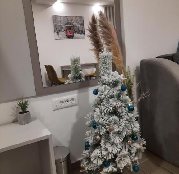 استودیو استاندارد با تخت کینگ, Apartman A20b