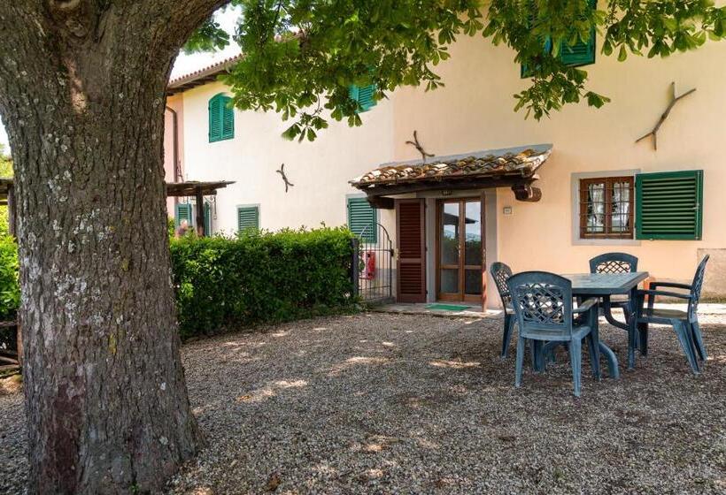 דירת חדר, Universal Harmony   Poiana