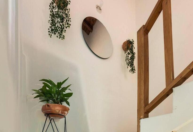 标准三人间, Letto Hostal