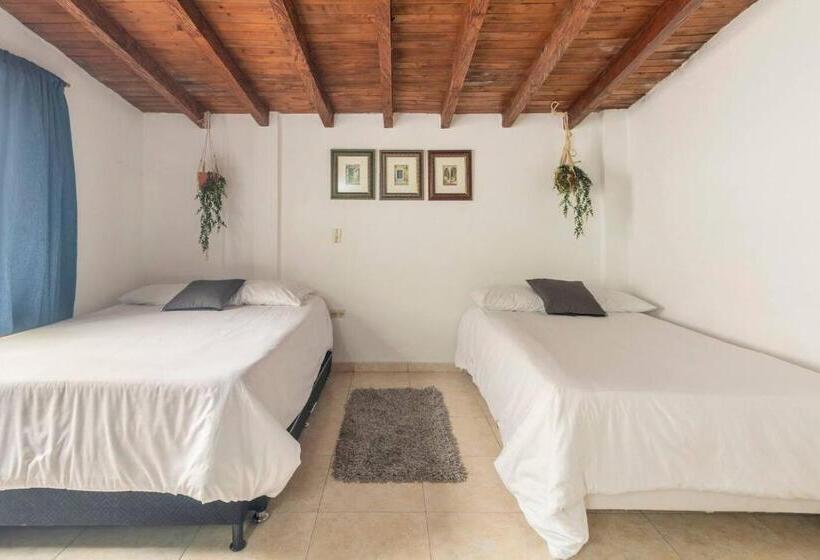 标准三人间, Letto Hostal