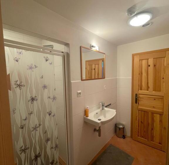 经济四人间 - 带共用浴室, Penzión Brooklyn