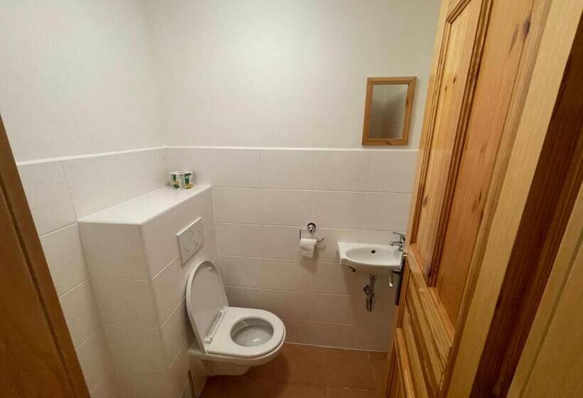 הכלכלה חדר לארבעה עם מקלחת משותפת, Penzión Brooklyn