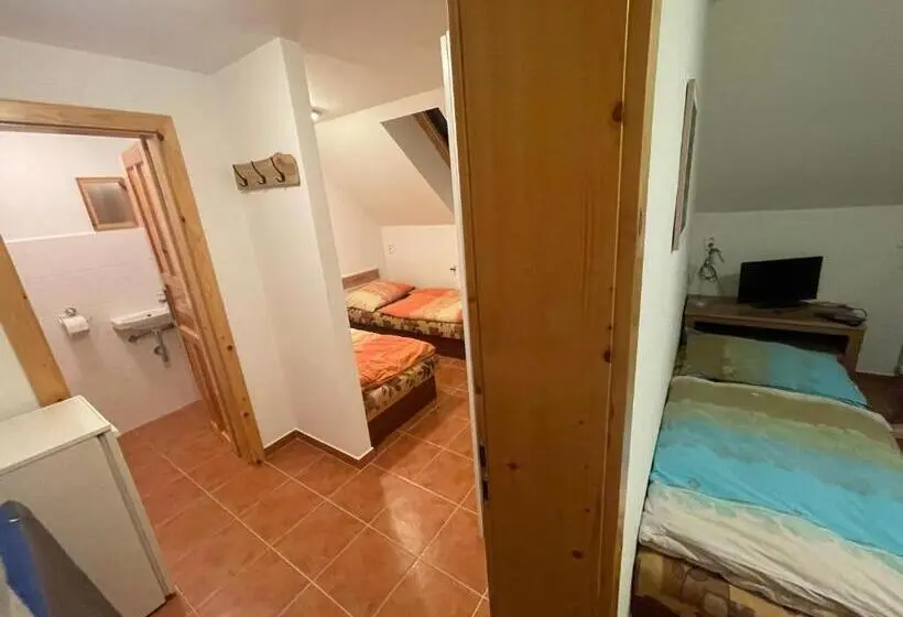 バスルーム共同エコノミー4人部屋, Penzión Brooklyn