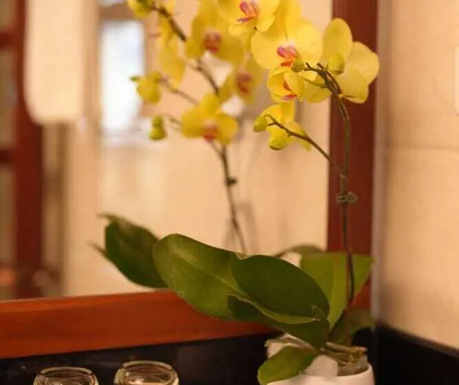 اتاق لوکس, Pleiku Hotel By Gia Lai Tourist