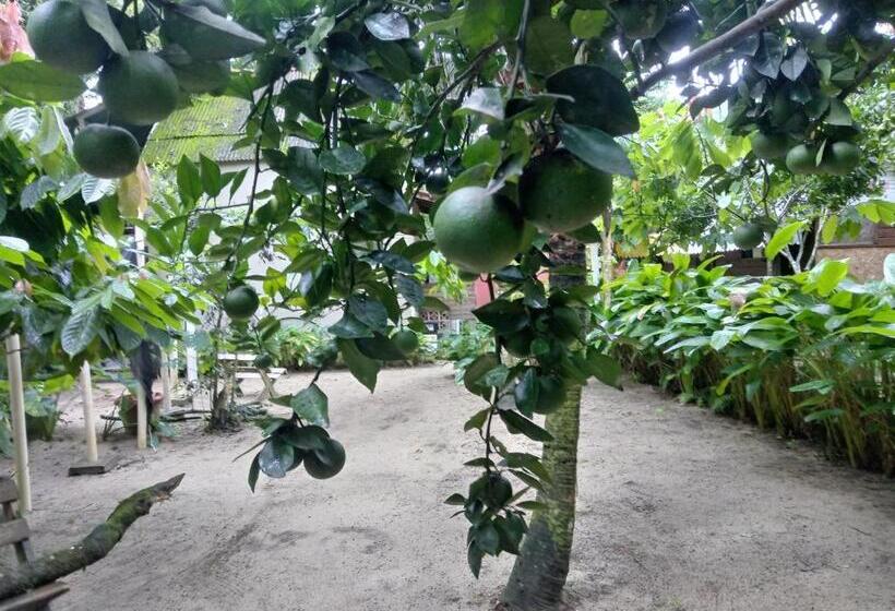 בקתה סטנדרטית, Acorde Eco