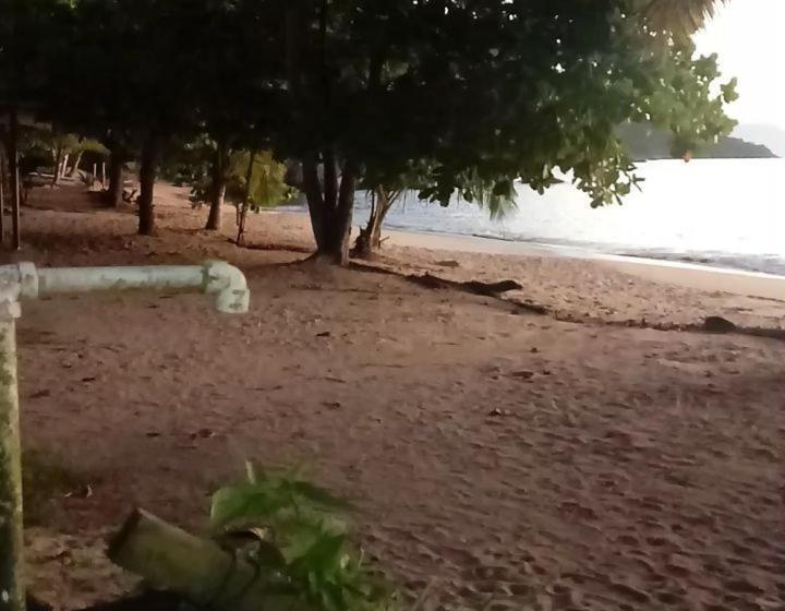 בקתה סטנדרטית, Acorde Eco