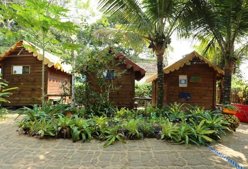 בקתה סטנדרטית, Acorde Eco