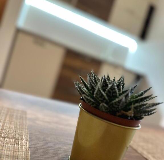 استودیو خانوادگی, Pansion Zlatna Zita