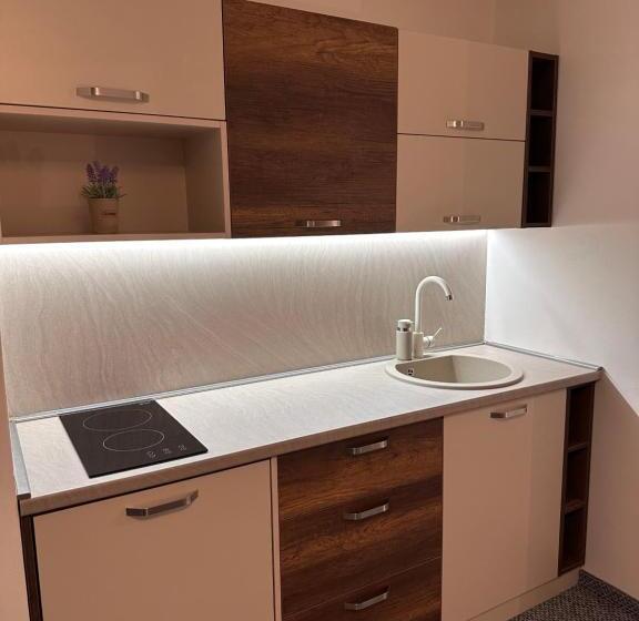 استودیو خانوادگی, Pansion Zlatna Zita