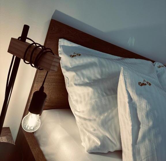 استودیو خانوادگی, Pansion Zlatna Zita