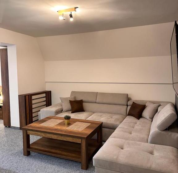 استودیو خانوادگی, Pansion Zlatna Zita