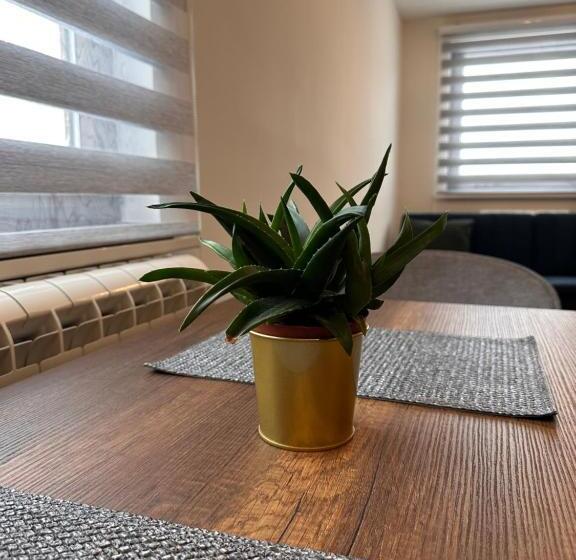 آپارتمان 1 خوابه, Pansion Zlatna Zita