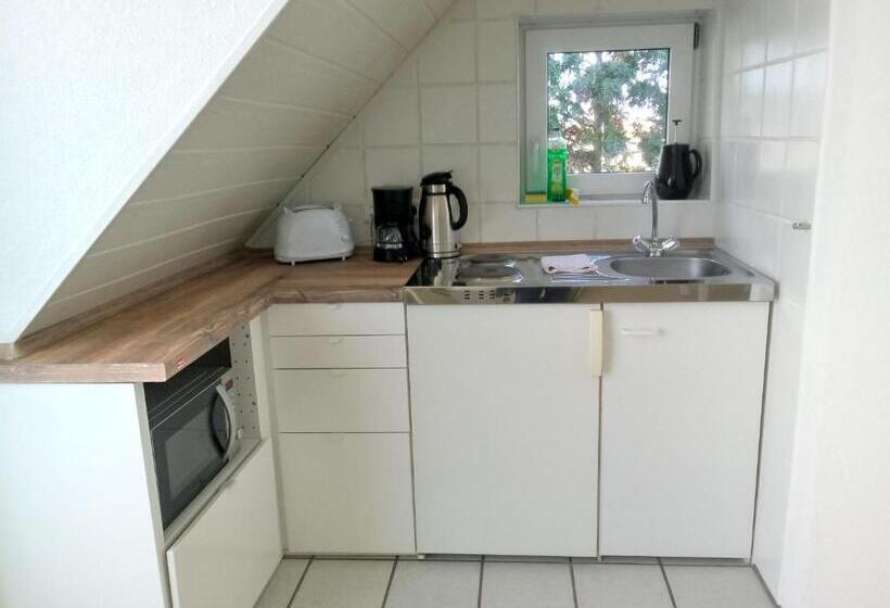 استودیو استاندارد با بالکن, Pension Bunz