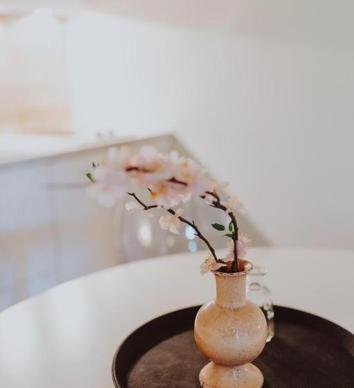 סטודיו משפחתי, Pratelli6