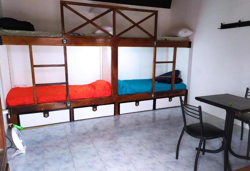 공동 객실, Hostel De La Plaza